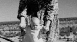 Timeline: A dingo took my baby