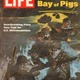 Bay of pigs