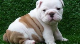 Timeline: Chinese Communism