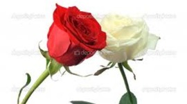 Timeline: Wars of the Roses