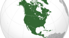 Timeline: 7E Perspectives on Canadian History #12, 18, 20, 22