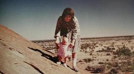 Timeline: A Dingo Got My Baby - Timeline