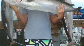 Timeline: Life Span Developmental Psychology - Timeline Final Project