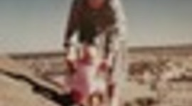 Timeline: A dingo has got my baby