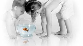 Timeline: Toddlerhood