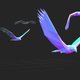 Xwebgl header eagle img.jpg.pagespeed.ic.63odtnjvoo
