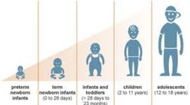 Timeline: Child Development, Cynthia Rosales, Hour 1