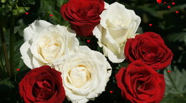 Timeline: Wars of the Roses