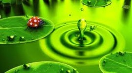 Timeline: Od ponedjeljka do petka