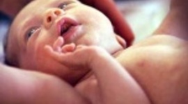 Timeline: Fetal Development Timeline