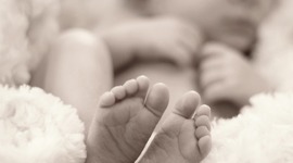 Timeline: Fetal Development Timeline