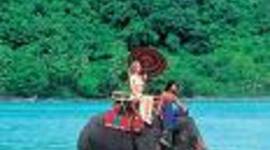 Timeline: East Asia Timeline