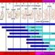 Pregnanct timeline