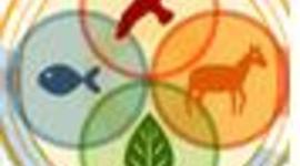 Timeline: Про работу Bepнaдcкoгo в Kapeлии