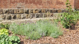 Timeline: Historia krótka naszego ogródka