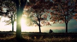 Timeline: Kourtney's Timeline