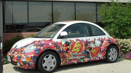 Timeline: senior vacation