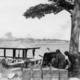 Aust at gun singapore (012449)