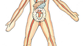 Timeline: Medicine Through Time- By Leigh Dennis