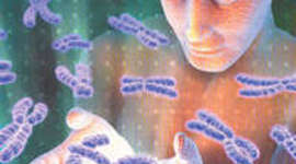 Timeline: proyecto Genoma Humano Nils Elbing