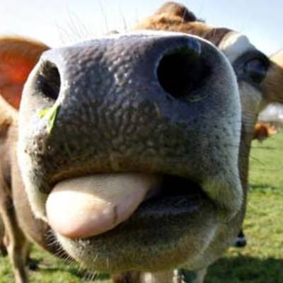 Timeline: Canada Singificant Enents Time Line