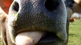 Timeline: Canada Singificant Enents Time Line