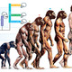 Body evolution