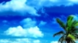 Timeline: Trips to the Beach