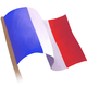 French flag
