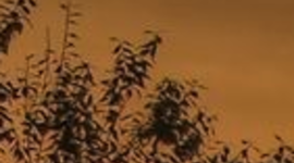 Timeline: mi linea de prueba