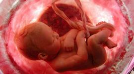 Timeline: Sistema Urogenital