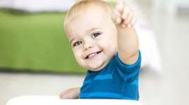 Timeline: Infant Development