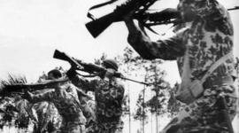 Timeline: Bay of Pigs