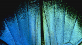 Timeline: Technology Integration at Jefferson School