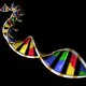 Dna1.2.jpgfb6bc7dc be56 46ba 87431898fb3a829c.jpglarger
