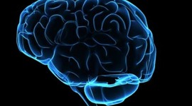 Timeline: If I Only Had A Brain...