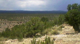 Timeline: New Mexico Digital Newspapers