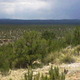Newmexicolandscape crop