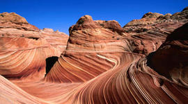 Timeline: Oliver life