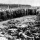Holocaust pictures