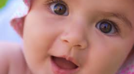 Timeline: Fetal Development