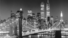 Timeline: MüLLER IN NEW YORK - SHELBIE