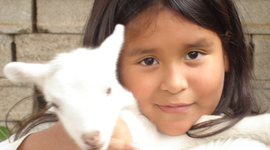 Timeline: mi historia