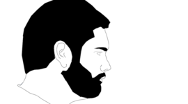 Timeline: Professional Timeline