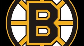 Timeline: Boston Bruins History