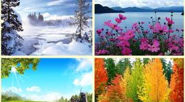 Timeline: Seasonal Vacation Spots