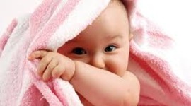 Timeline: Fetal Development Timeline