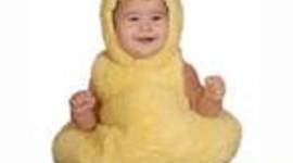 Timeline: Fetal Development TImeline