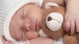 Timeline: fetal development timeline