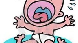 Timeline: Fetal Development Timeline